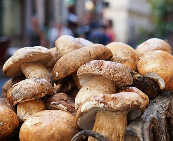 Cèpes dans un panier