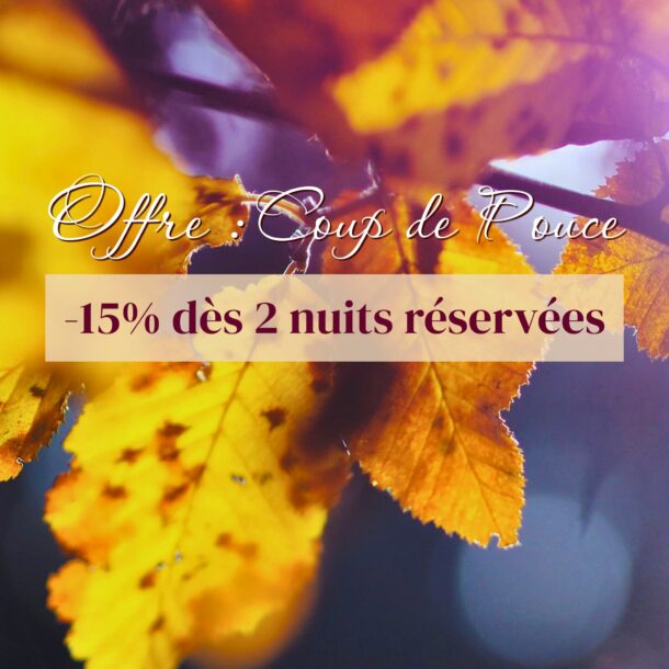 Feuilles d'arbre dans la lumière